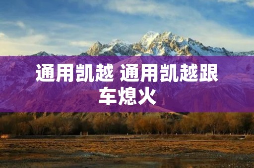 通用凯越 通用凯越跟车熄火 通用凯越 通用凯越跟车熄火