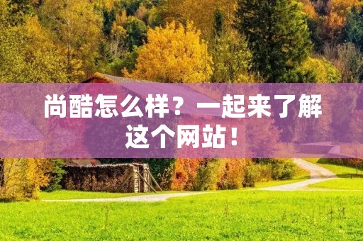 尚酷怎么样？一起来了解这个网站！