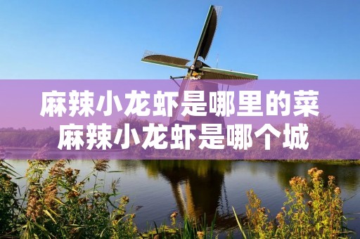 麻辣小龙虾是哪里的菜 麻辣小龙虾是哪个城市的特色