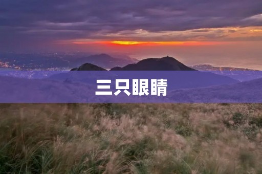 三只眼睛：揭秘神奇的异象