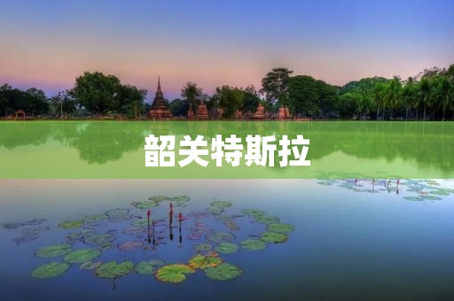 韶关特斯拉:引领未来出行之路 韶关特斯拉:引领未来出行之路