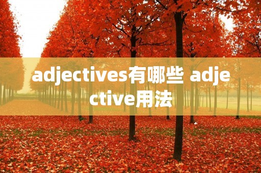 adjectives有哪些 adjective用法