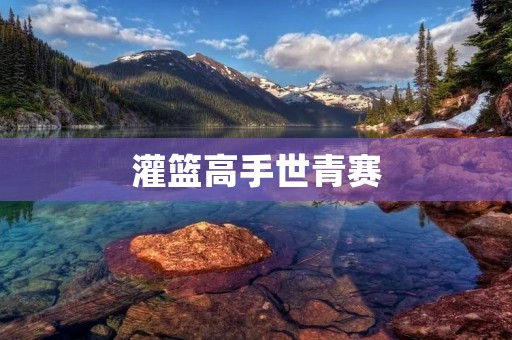 灌篮高手世青赛：揭秘篮球魔术般的飞翔之路