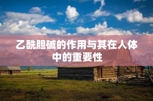 乙酰胆碱的作用与其在人体中的重要性