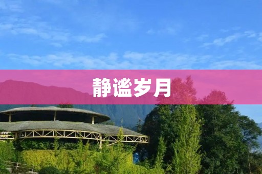 静谧岁月:散文精选