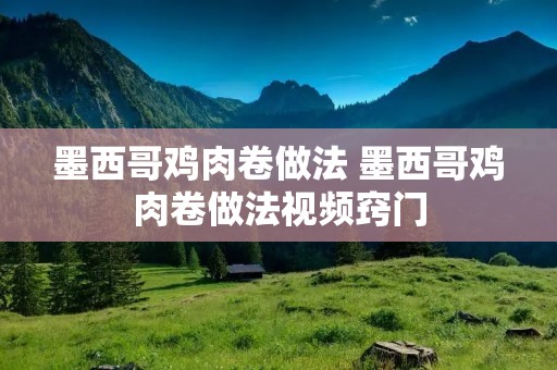 墨西哥鸡肉卷做法 墨西哥鸡肉卷做法视频窍门