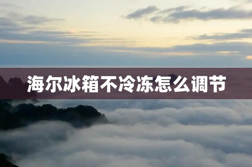海尔冰箱不冷冻怎么调节 海尔冰箱不冷冻怎么调节