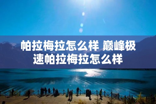 帕拉梅拉怎么样 巅峰极速帕拉梅拉怎么样