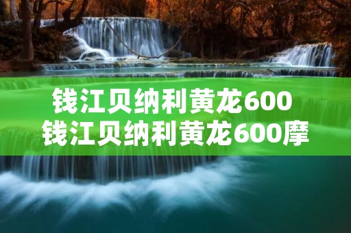 钱江贝纳利黄龙600 钱江贝纳利黄龙600摩托车 钱江贝纳利黄龙600 钱江贝纳利黄龙600摩托车