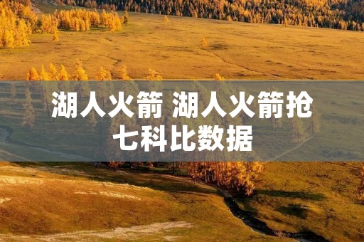 湖人火箭 湖人火箭抢七科比数据 湖人火箭 湖人火箭抢七科比数据