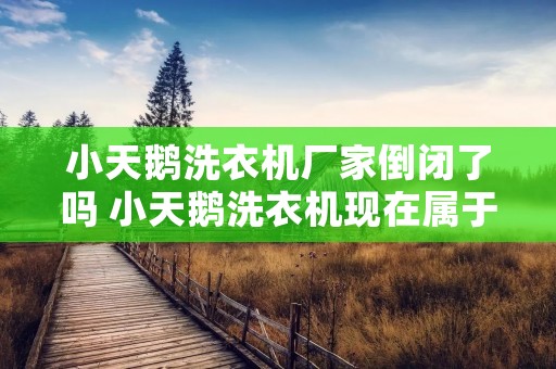 小天鹅洗衣机厂家倒闭了吗 小天鹅洗衣机现在属于哪个公司 小天鹅洗衣机厂家倒闭了吗 小天鹅洗衣机现在属于哪个公司