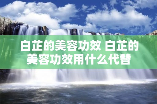 白芷的美容功效 白芷的美容功效用什么代替