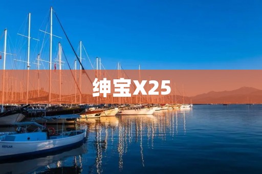 绅宝X25:开启时尚潮流的跨界之选