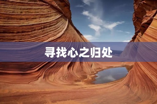 寻找心之归处:追寻散文随笔的美妙旅程