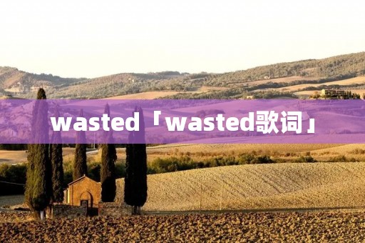 wasted「wasted歌词」