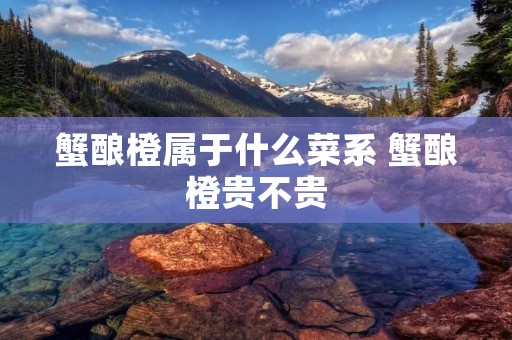 蟹酿橙属于什么菜系 蟹酿橙贵不贵