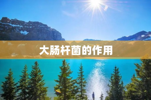 大肠杆菌的作用