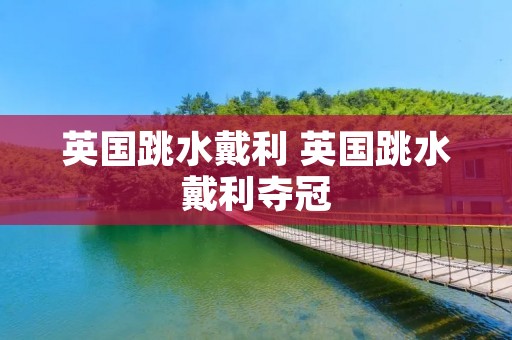 英国跳水戴利 英国跳水戴利夺冠