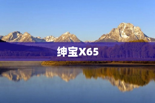 绅宝X65:豪华与性能的完美结合 绅宝X65:豪华与性能的完美结合