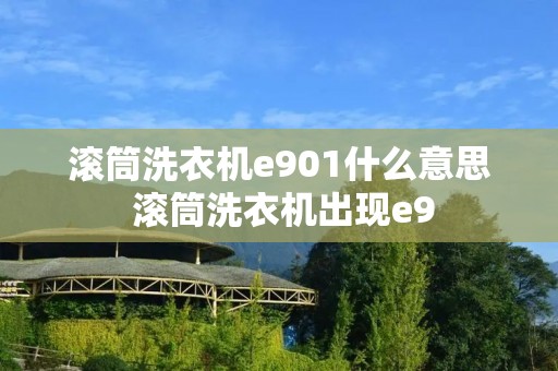 滚筒洗衣机e901什么意思 滚筒洗衣机出现e9