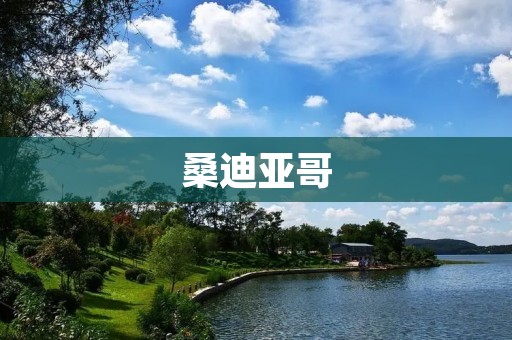 桑迪亚哥:探秘美国西海岸的文化之都
