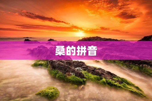 桑的拼音:走进桑,探寻其独特之美
