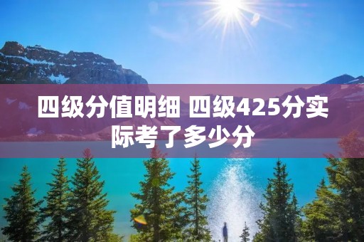 四级分值明细 四级425分实际考了多少分 四级分值明细 四级425分实际考了多少分