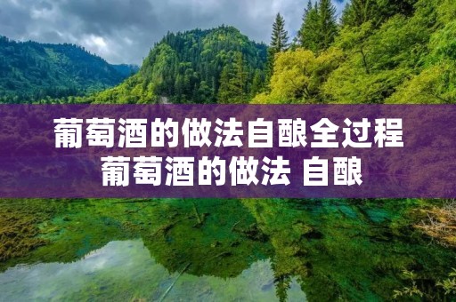 葡萄酒的做法自酿全过程 葡萄酒的做法 自酿