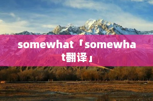 somewhat「somewhat翻译」