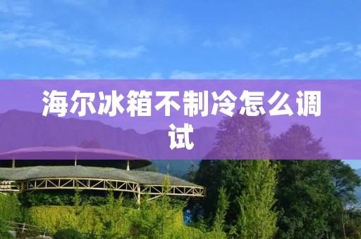 海尔冰箱不制冷怎么调试 海尔冰箱不制冷怎么调试