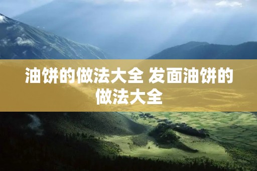 油饼的做法大全 发面油饼的做法大全 油饼的做法大全 发面油饼的做法大全