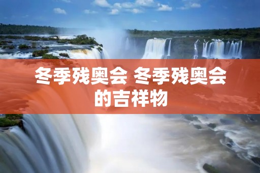 冬季残奥会 冬季残奥会的吉祥物