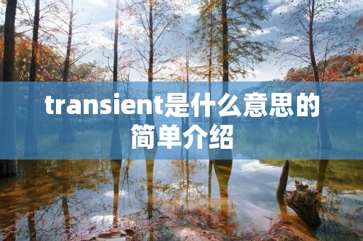 transient是什么意思的简单介绍