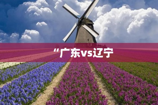 “广东vs辽宁：CBA总决赛的巅峰对决”