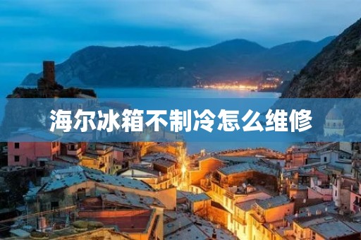 海尔冰箱不制冷怎么维修 海尔冰箱不制冷怎么维修