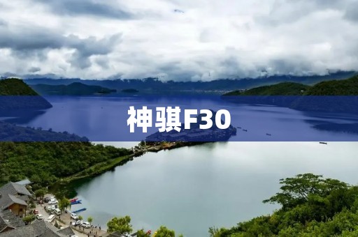 神骐F30：豪华与性能的完美结合