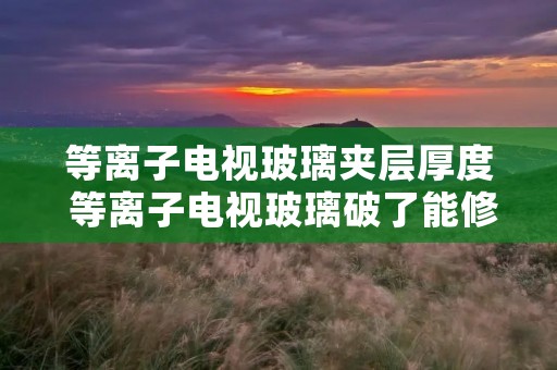 等离子电视玻璃夹层厚度 等离子电视玻璃破了能修好吗?