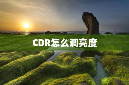 CDR怎么调亮度:一步步教你操作