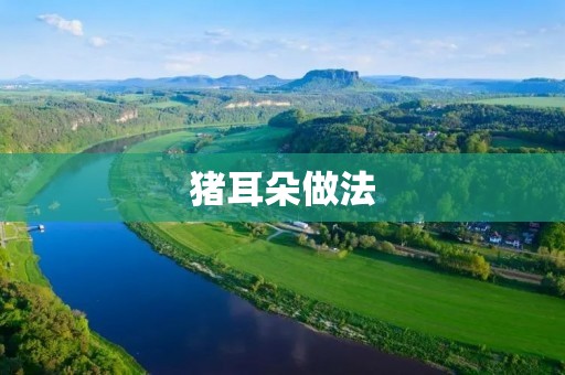 猪耳朵做法：传统美味的烹饪方法
