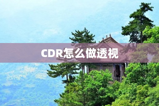 CDR怎么做透视:解析透视技巧
