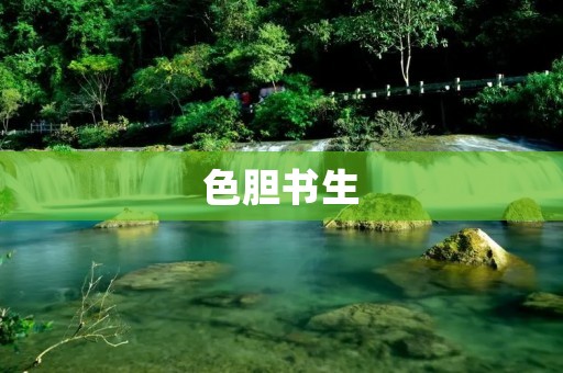 色胆书生:探寻胆识与智慧的完美结合