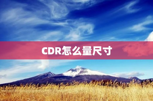 CDR怎么量尺寸