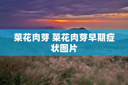 菜花肉芽 菜花肉芽早期症状图片