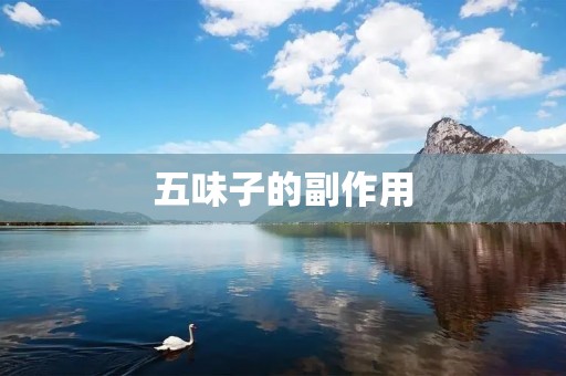 五味子的副作用:了解五味子的潜在风险和注意事项