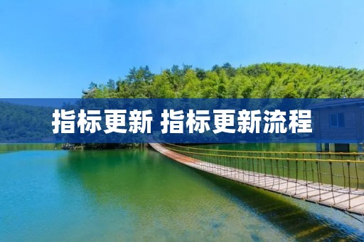 指标更新 指标更新流程 指标更新 指标更新流程