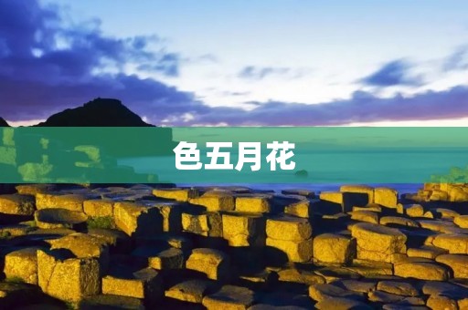 色五月花:探索美丽花海的绚丽之旅
