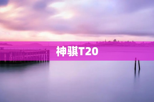 神骐T20:领先科技演绎驭动力