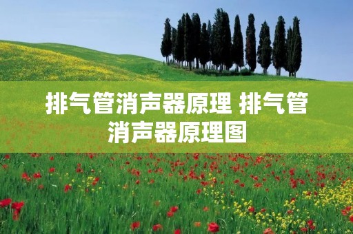 排气管消声器原理 排气管消声器原理图 排气管消声器原理 排气管消声器原理图