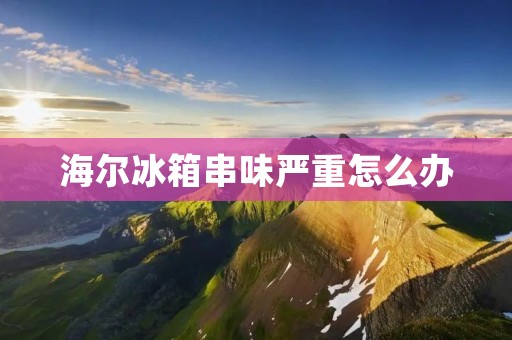 海尔冰箱串味严重怎么办