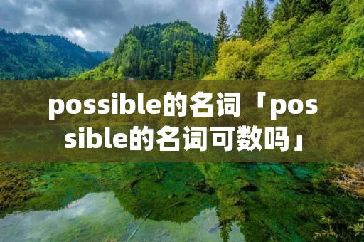 possible的名词「possible的名词可数吗」